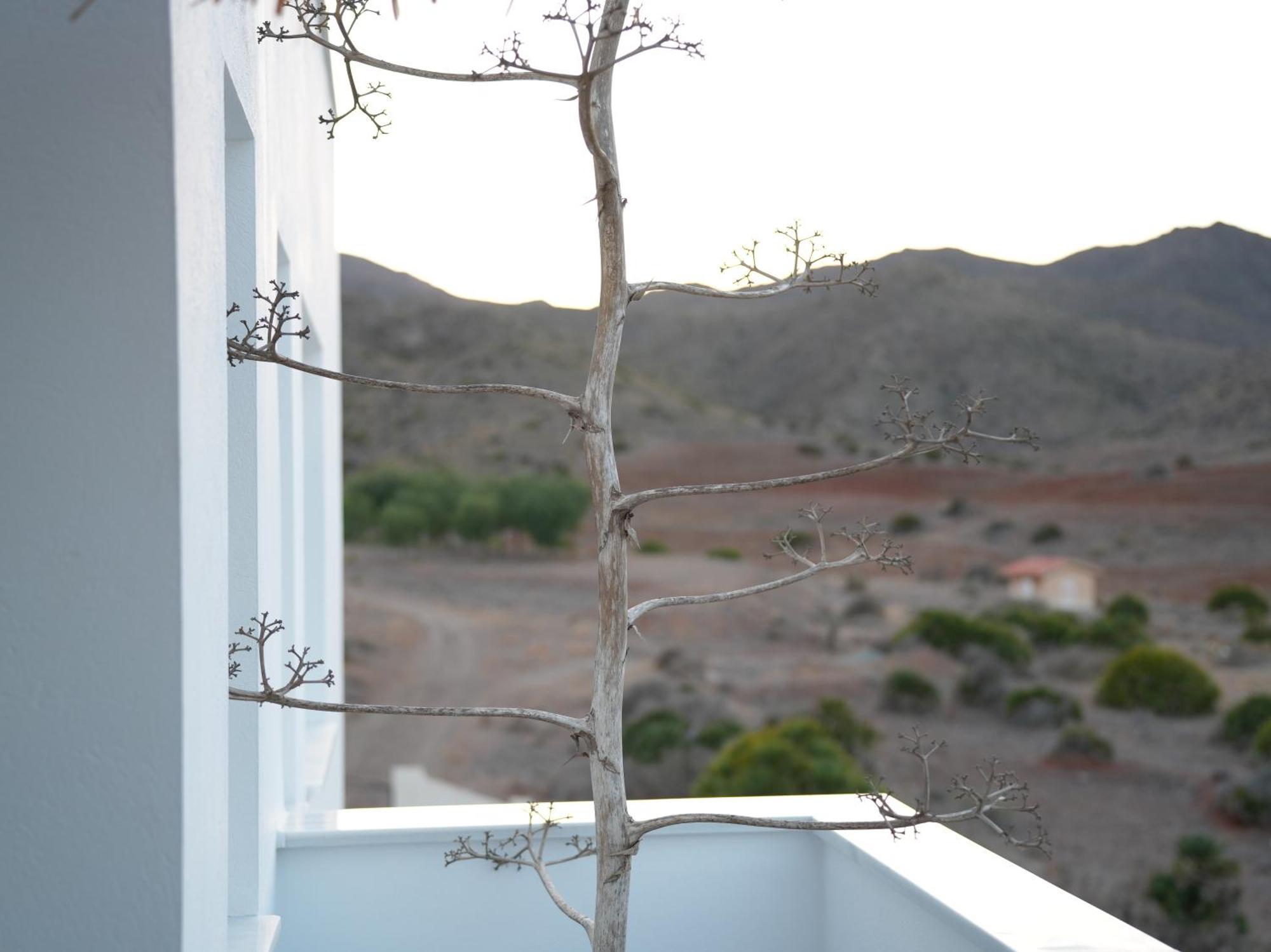 Senses Villa San José Exteriör bild
